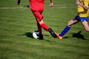 华体会体育-LPL多个队伍重组计划曝光转会期极度混乱，lpl战队转会期